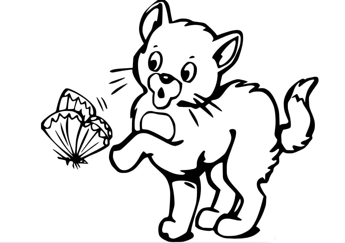 나비와 놀고 있는 고양이 coloring page