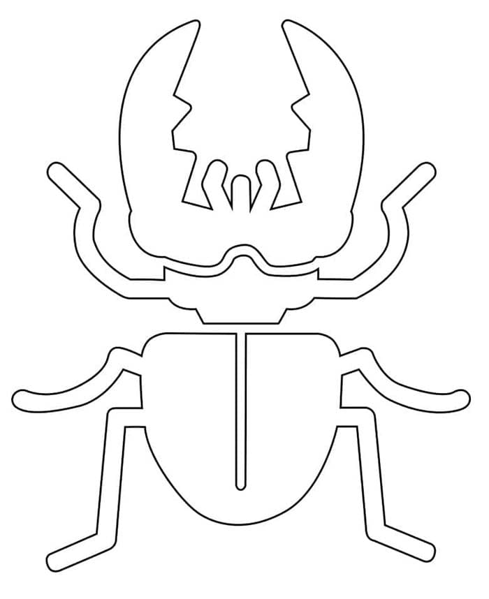 스케치 사슴벌레 coloring page