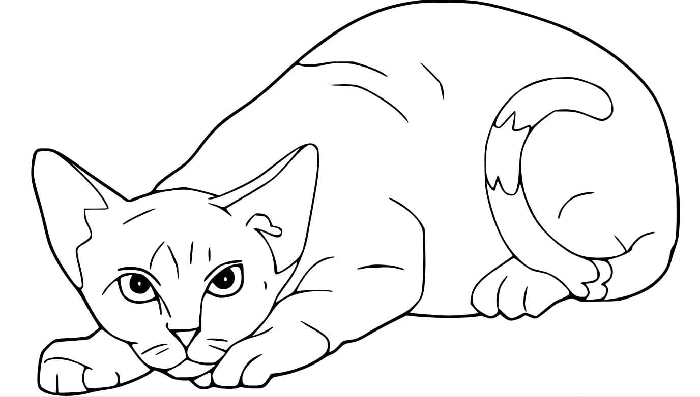 땅 위의 단순한 고양이 coloring page