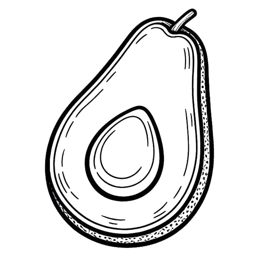 아보카도 1