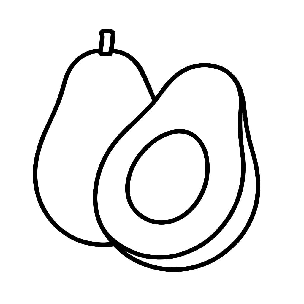 아보카도 6