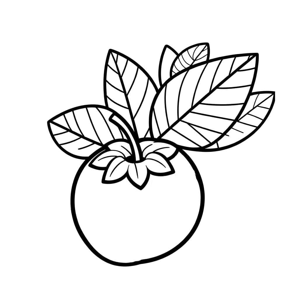 블루베리 6