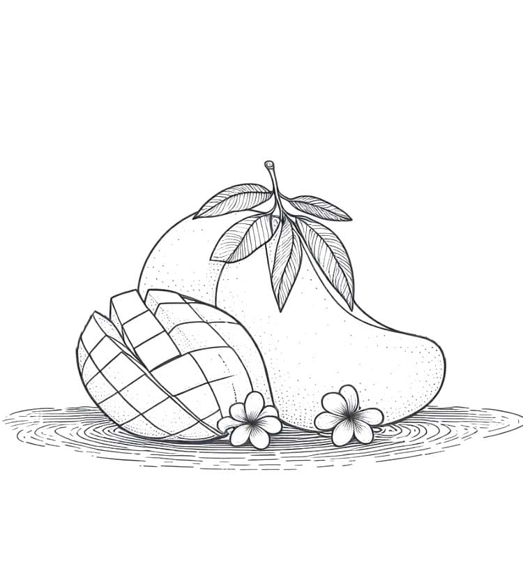 망고 4