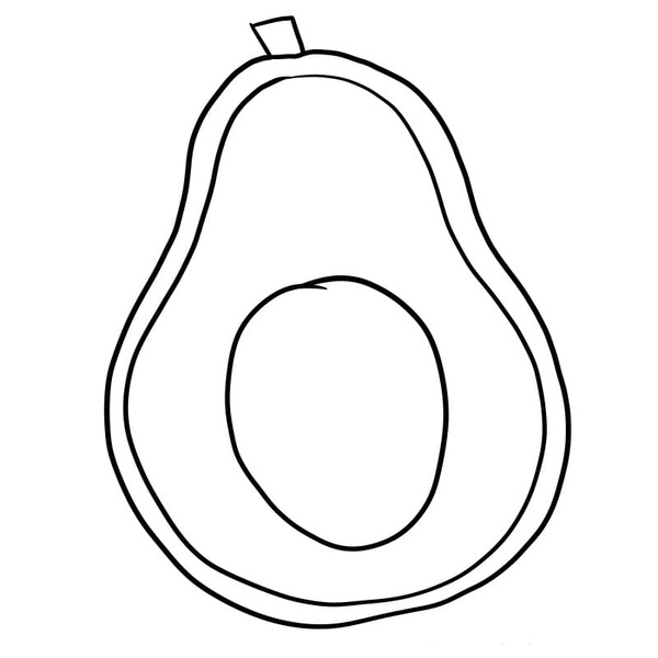 플레인 아보카도