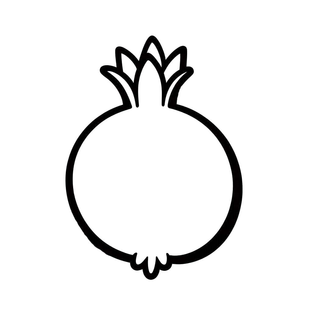 석류 1