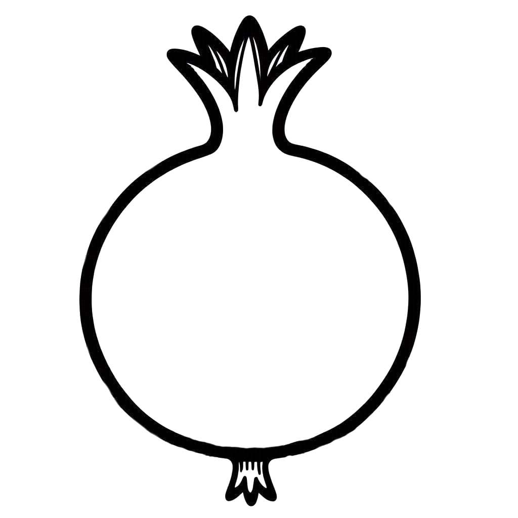 석류 2