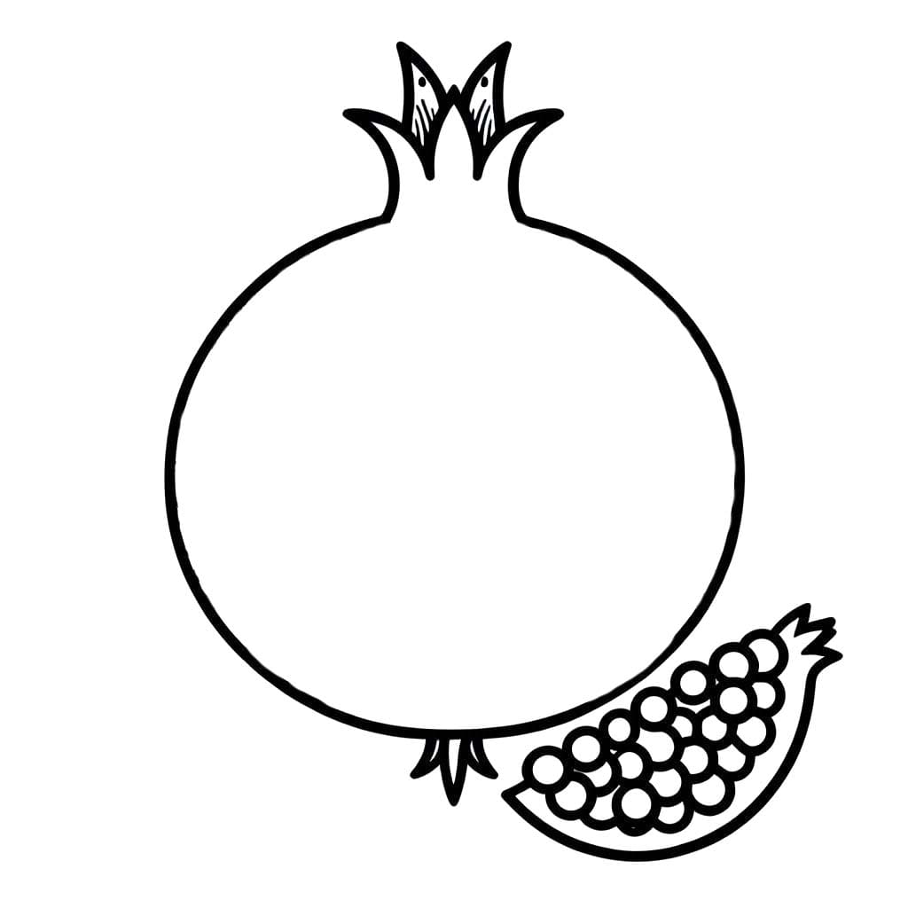 석류 5