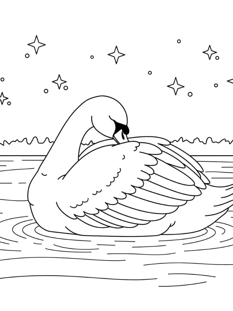 백조 그리기