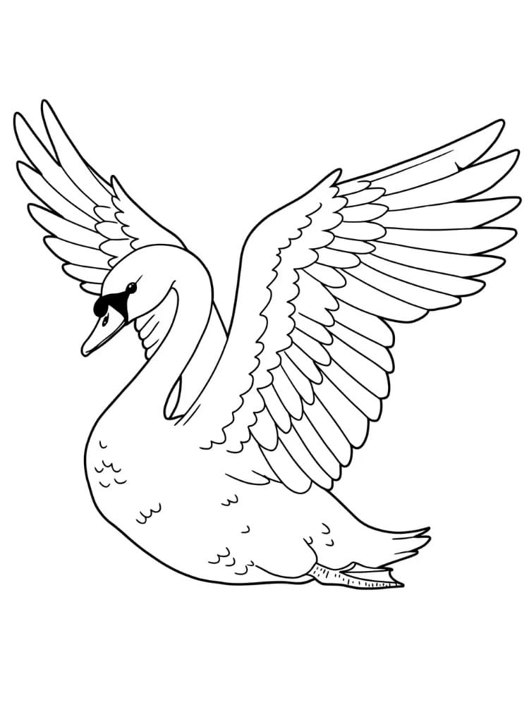 백조 귀엽다