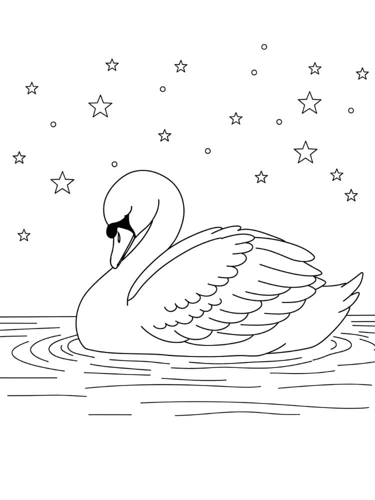백조 무료