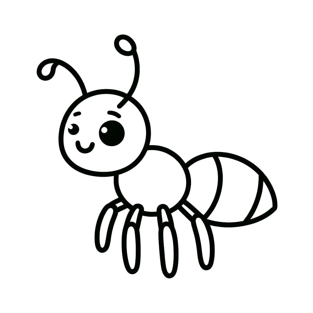개미 5