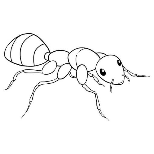 개미 무료