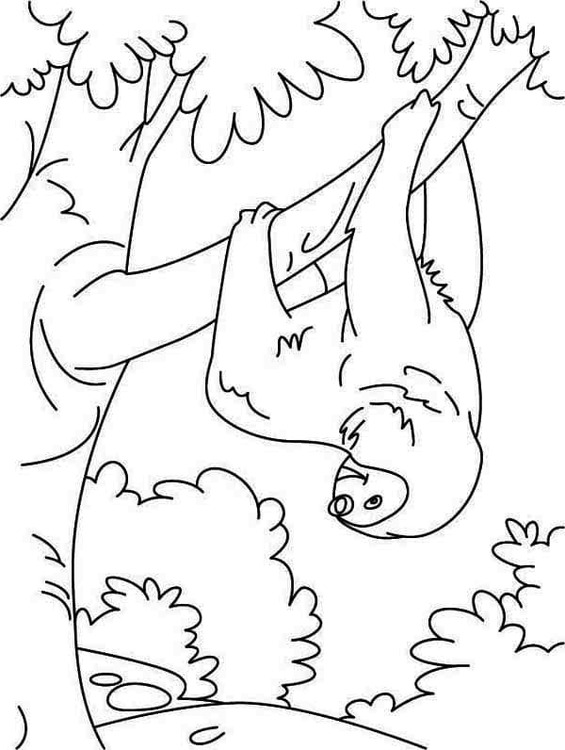 교수형 나태