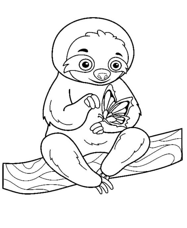 나태 그리고 나비