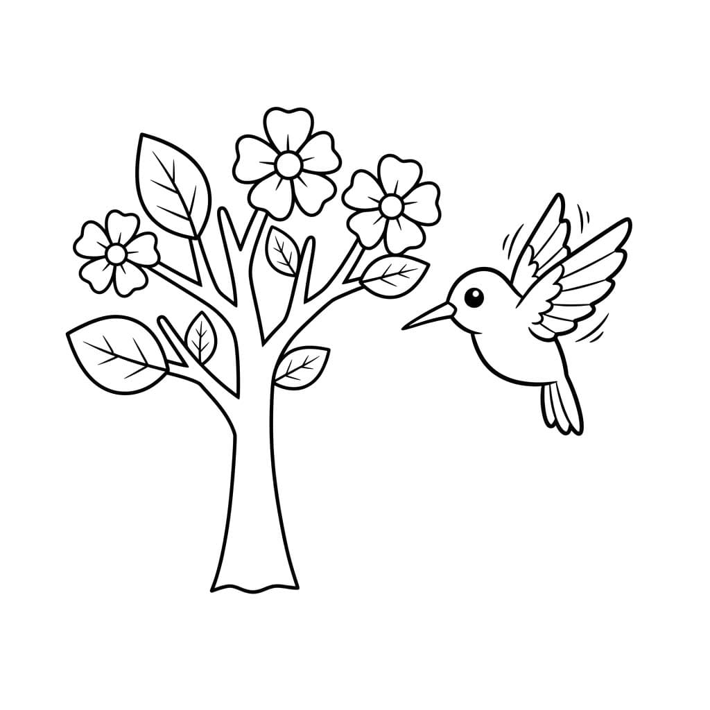 벌새 이미지 베이식