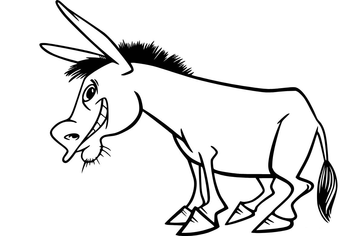 당나귀 행복하다