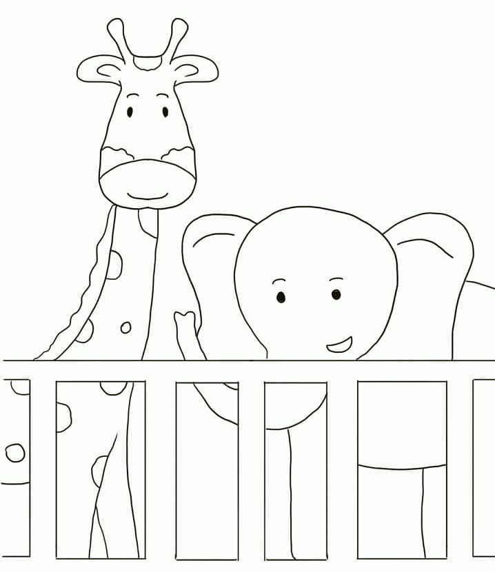 동물원 이미지 무료