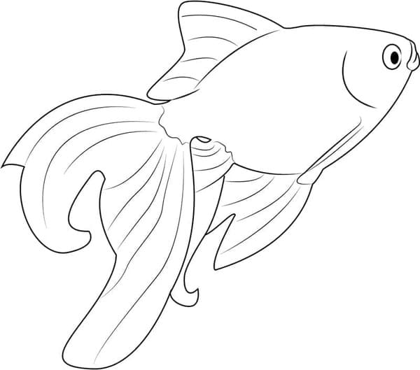 그리다 금붕어 쉬운