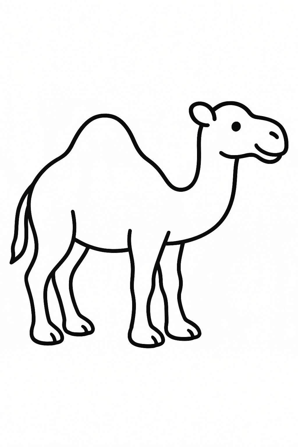 인쇄 가능 낙타