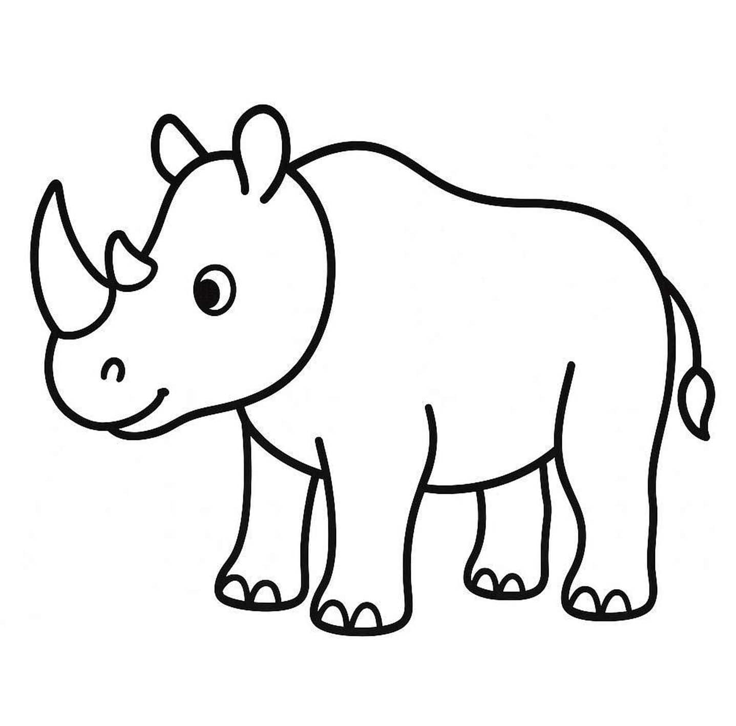 코뿔소 이미지 베이식