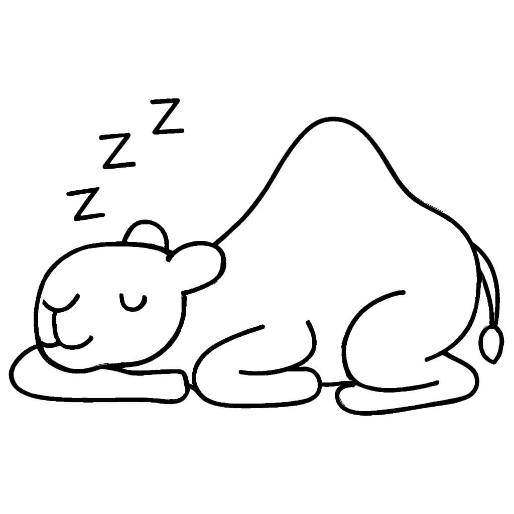 낙타 이미지 베이식