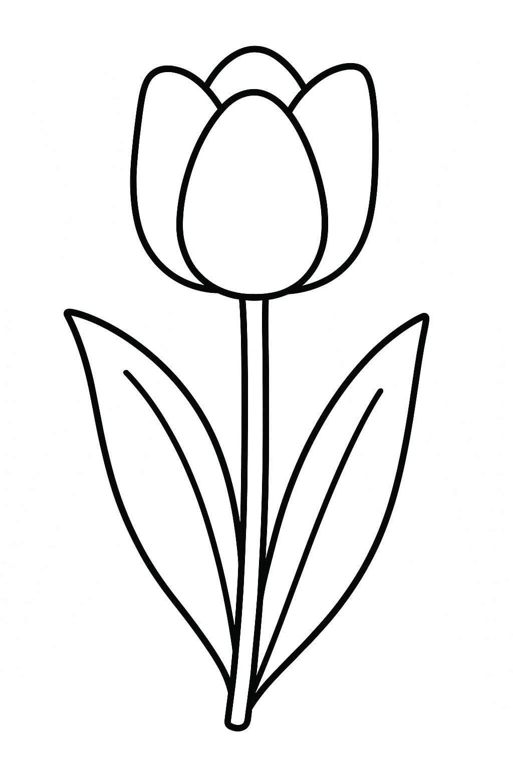 튤립 2