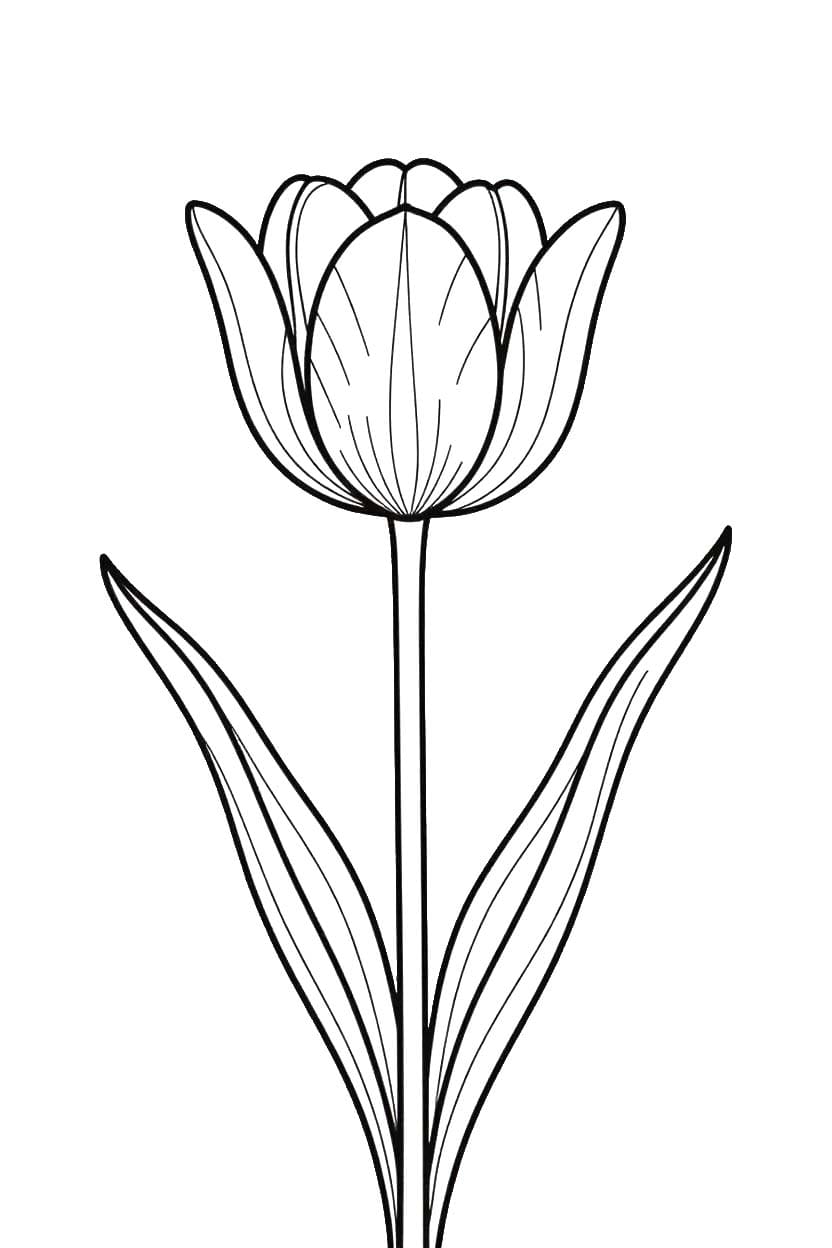 튤립 6