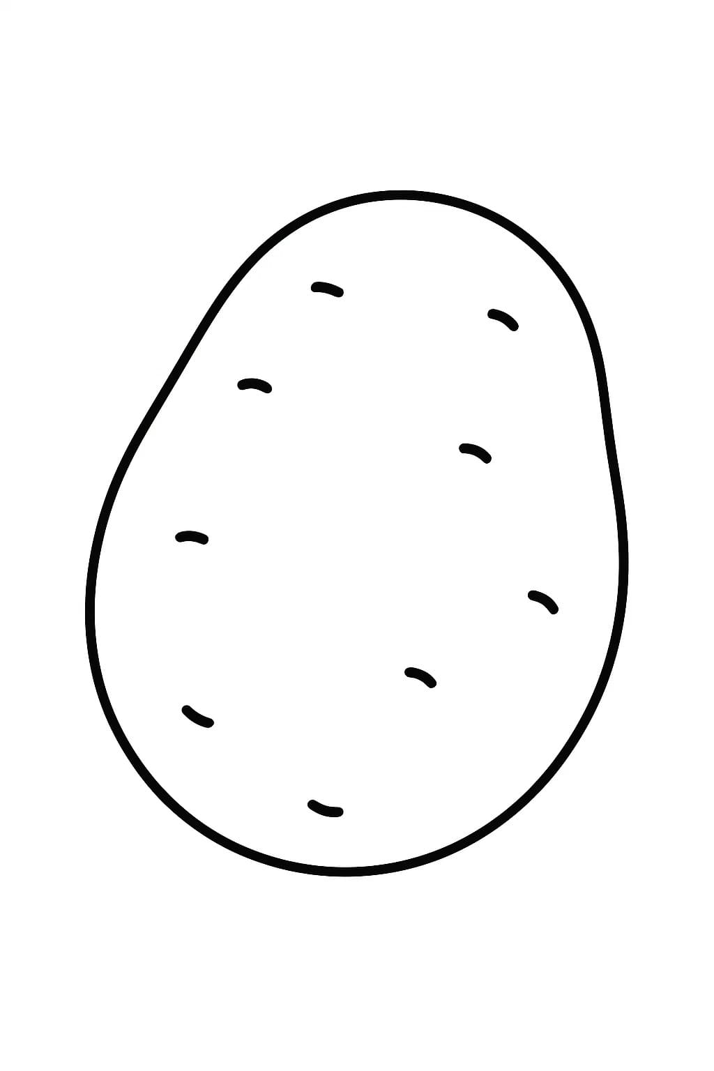 감자 이미지 베이식