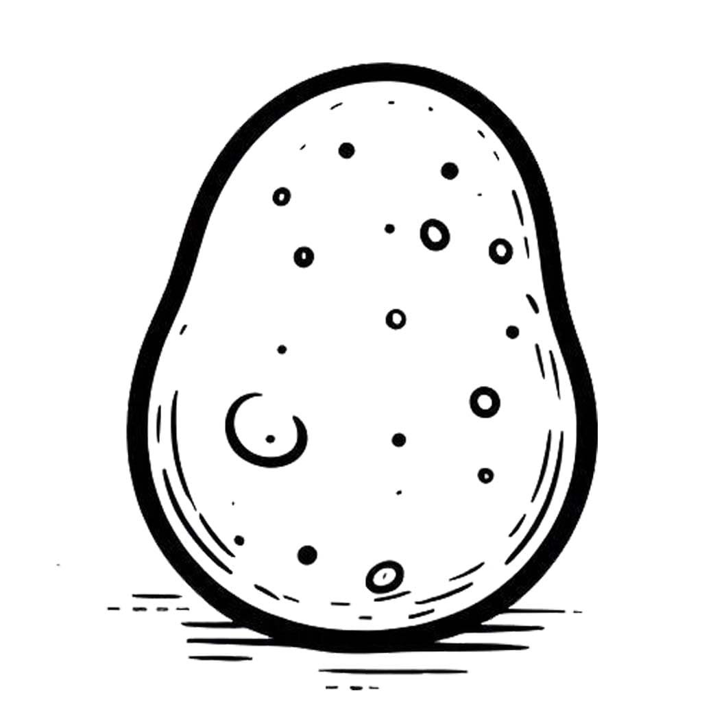 감자 이미지 무료로 인쇄 가능