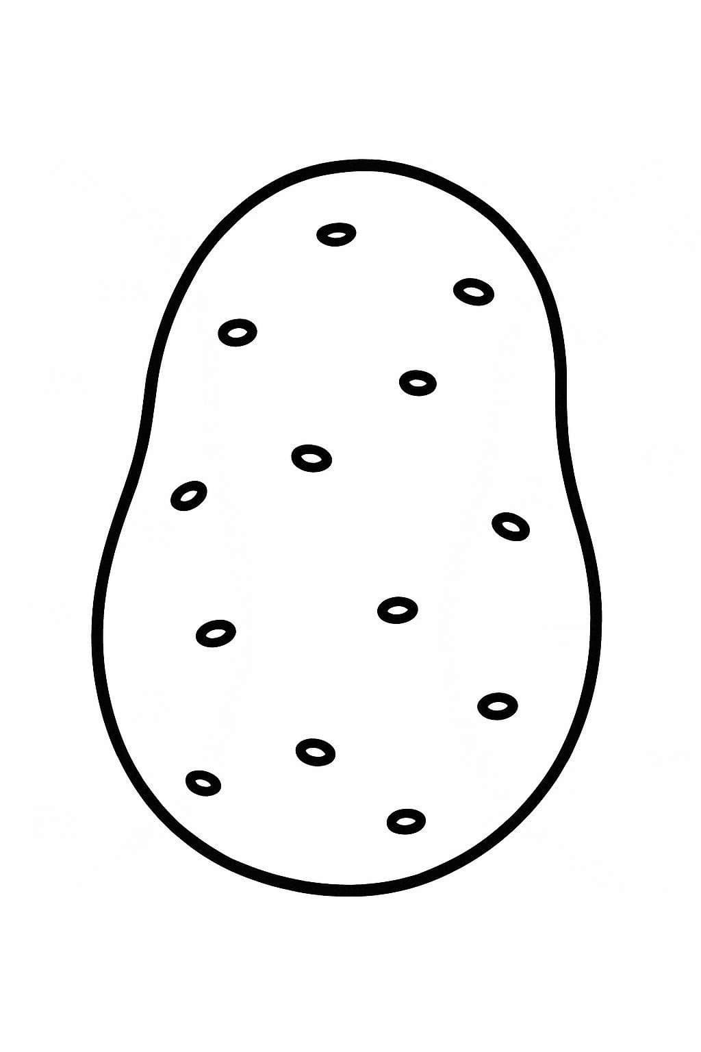 감자 이미지 무료로