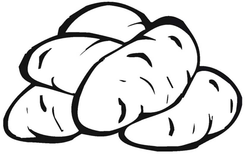 감자 인쇄 가능