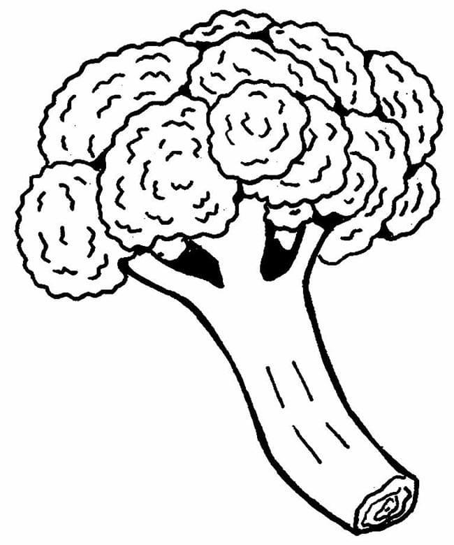 그리다 브로콜리 2