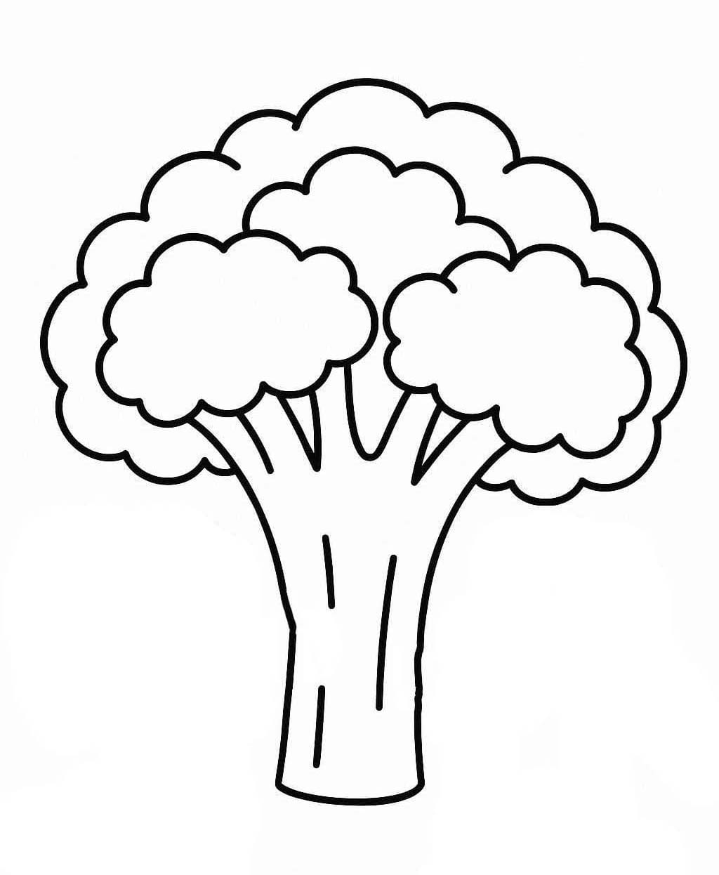 그리다 브로콜리 4