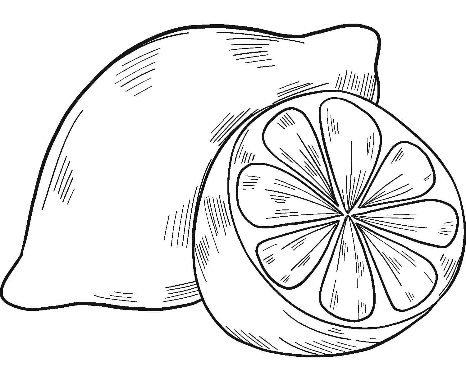 그리다 레몬 쉬운