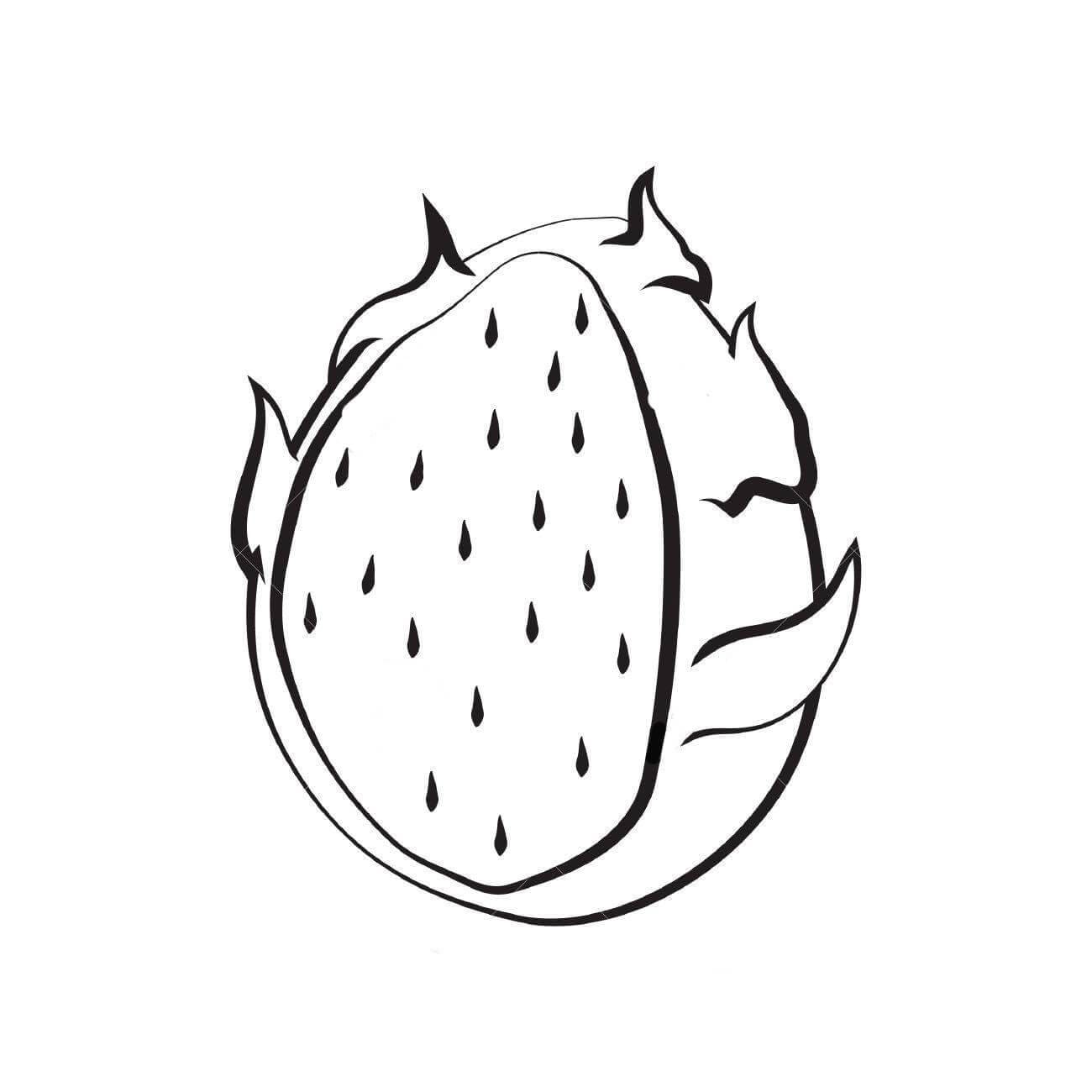 그리다 용과 단순한