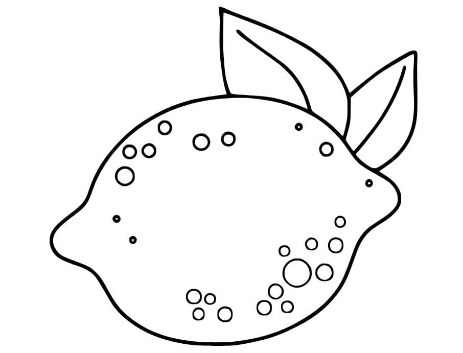 이미지 베이식 레몬