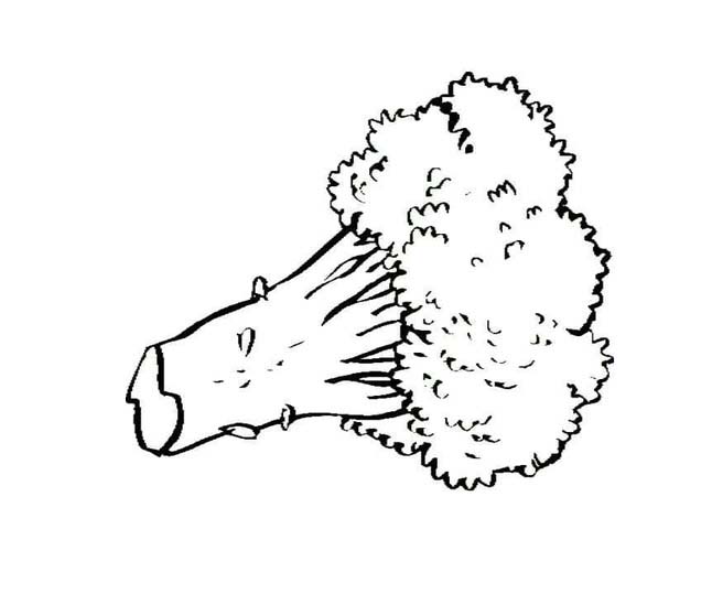 이미지 브로콜리