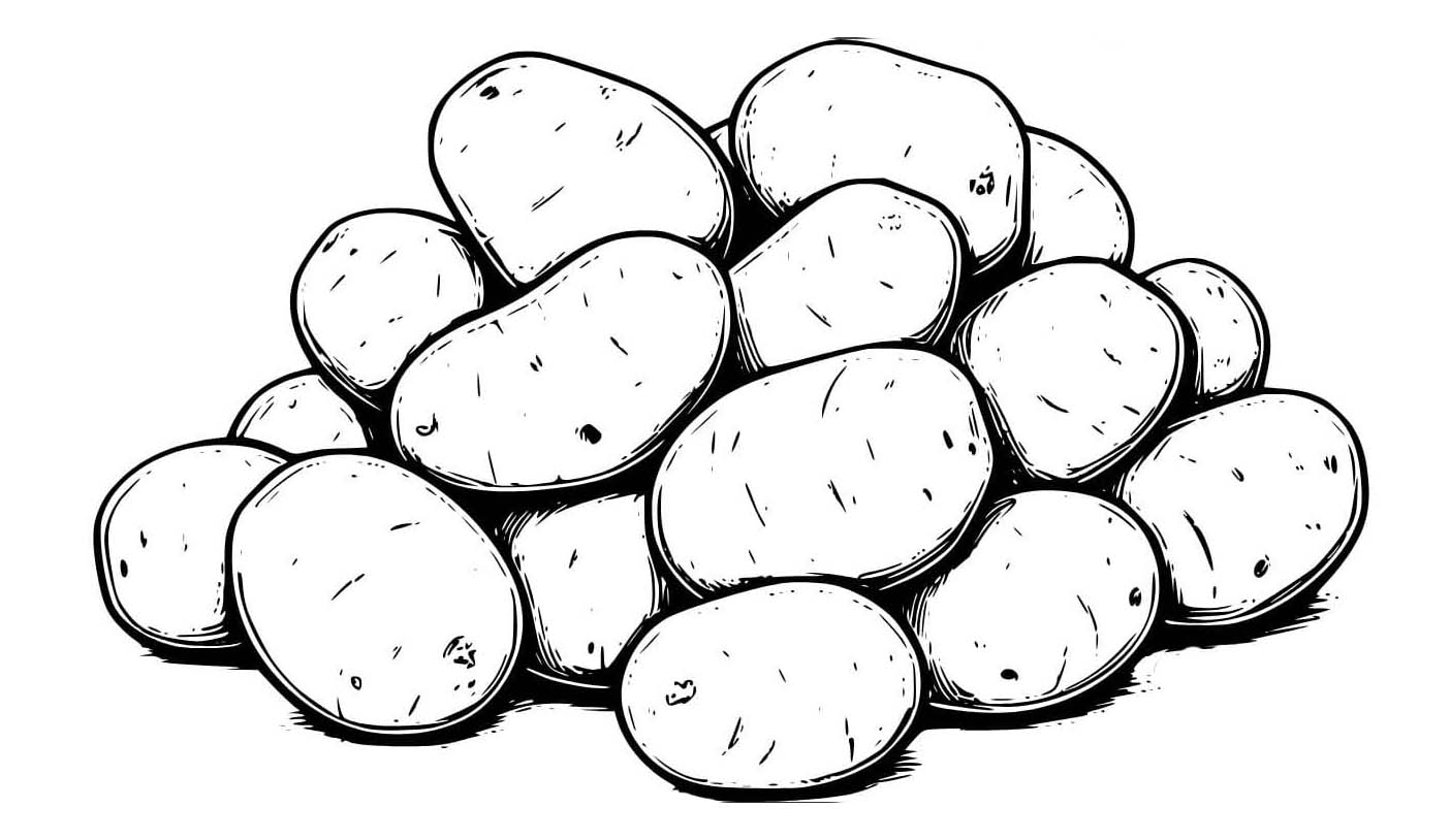 이미지 감자 무료