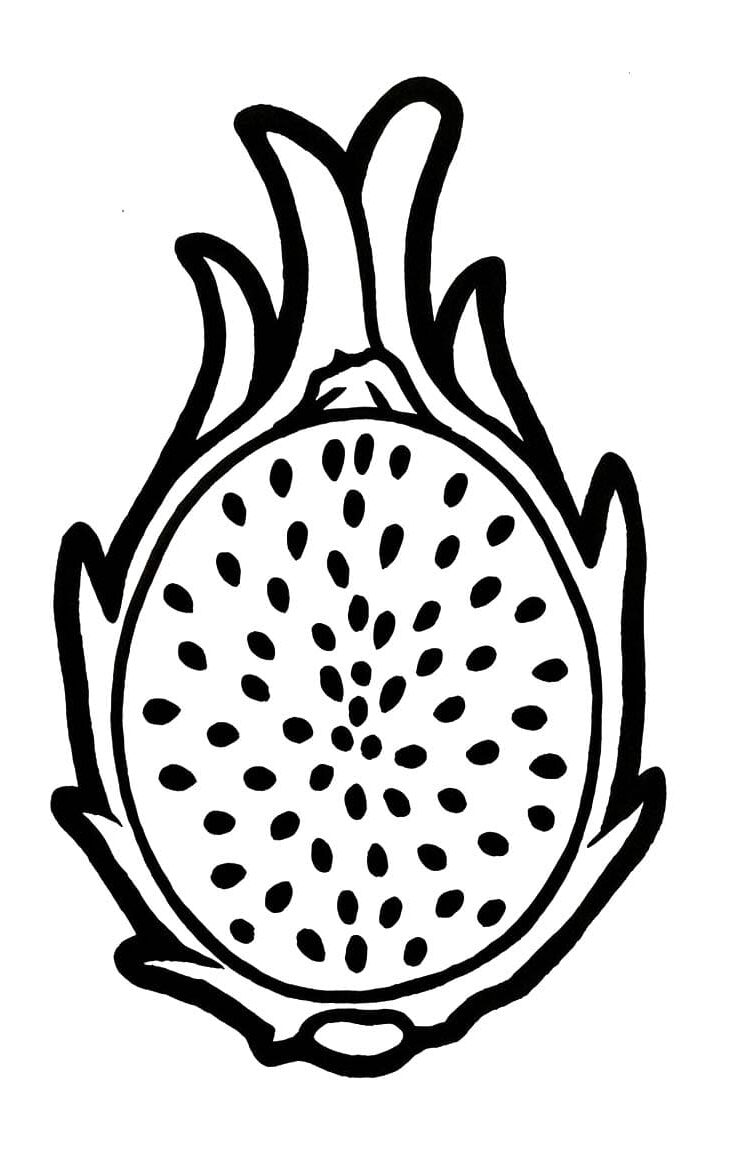 이미지 용과 인쇄 가능