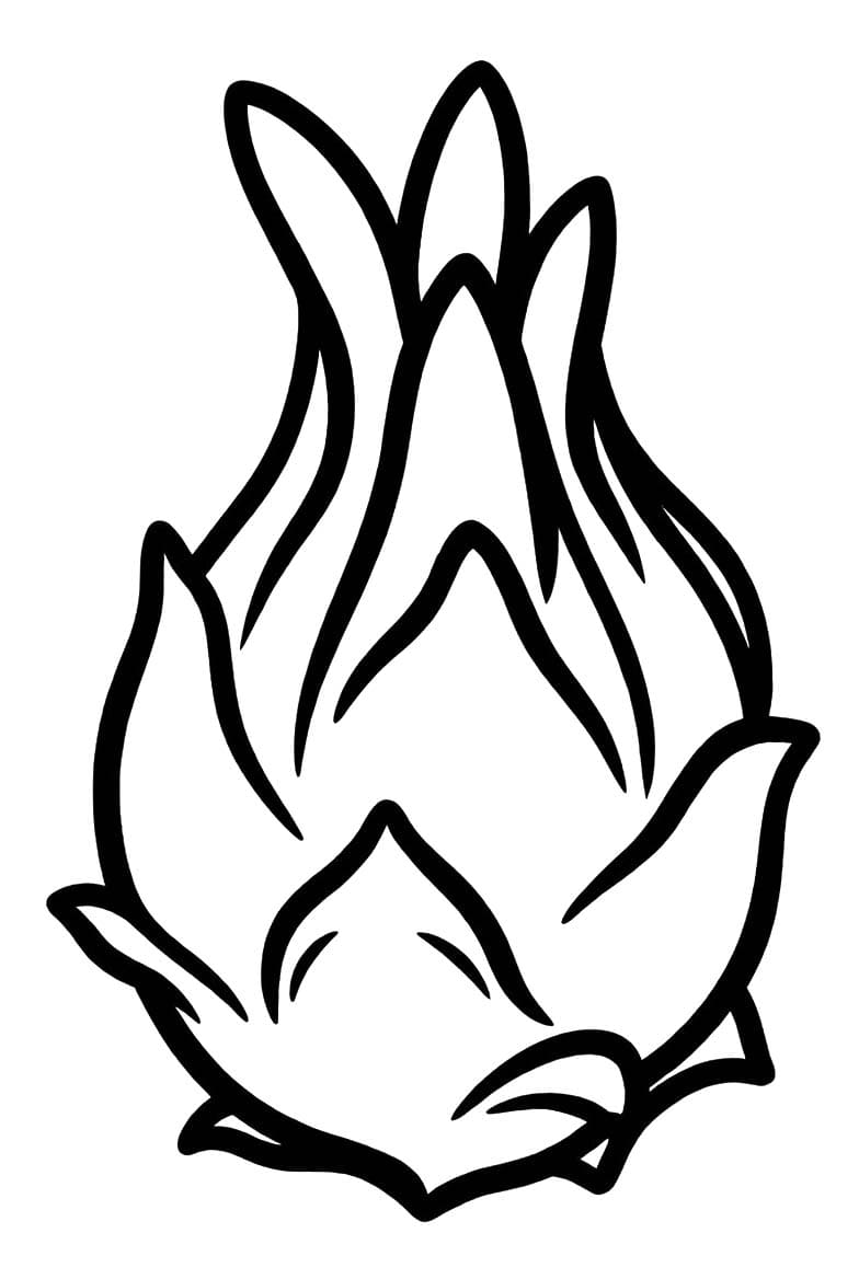 이미지 용과 무료로