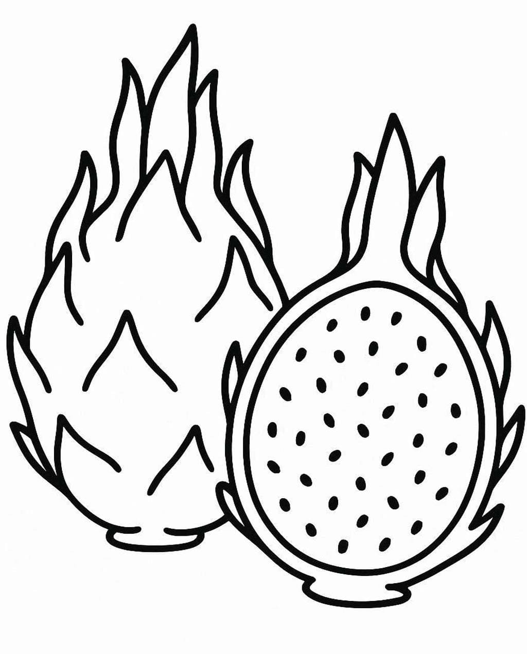 인쇄 가능 용과