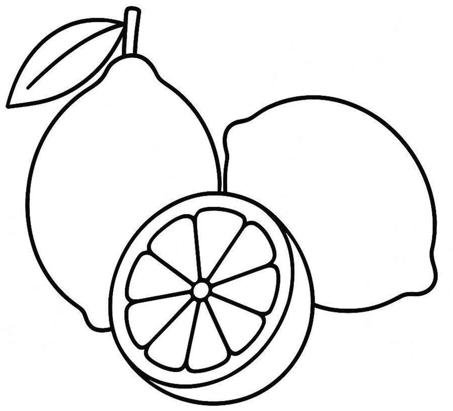 레몬 이미지 쉬운