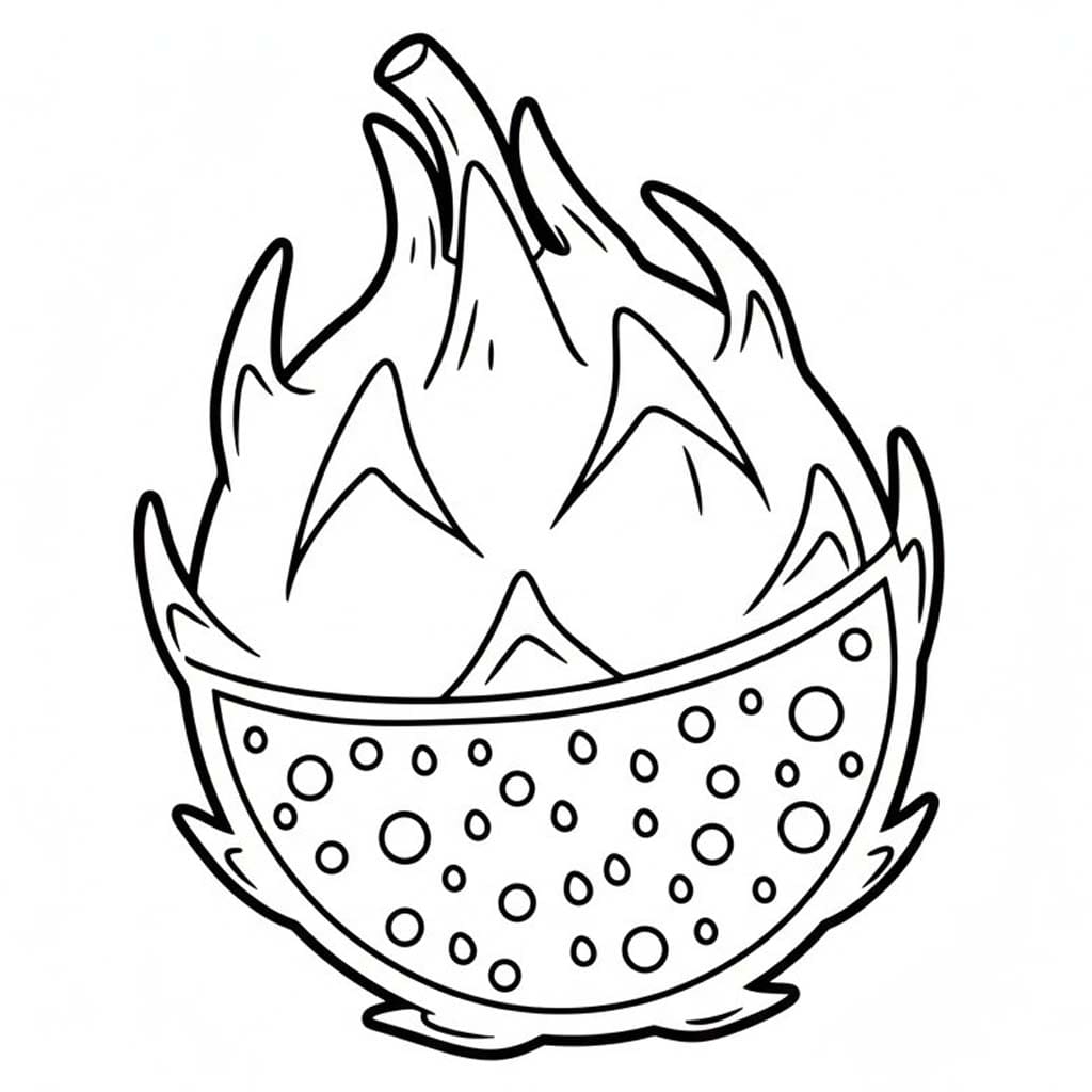 용과 이미지 베이식