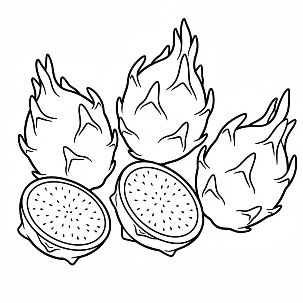 용과 이미지 단순한