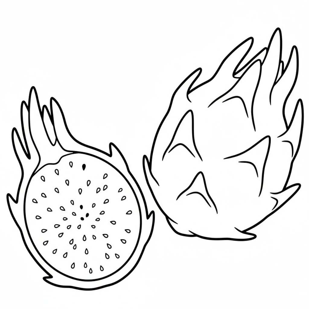 용과 이미지 인쇄 가능