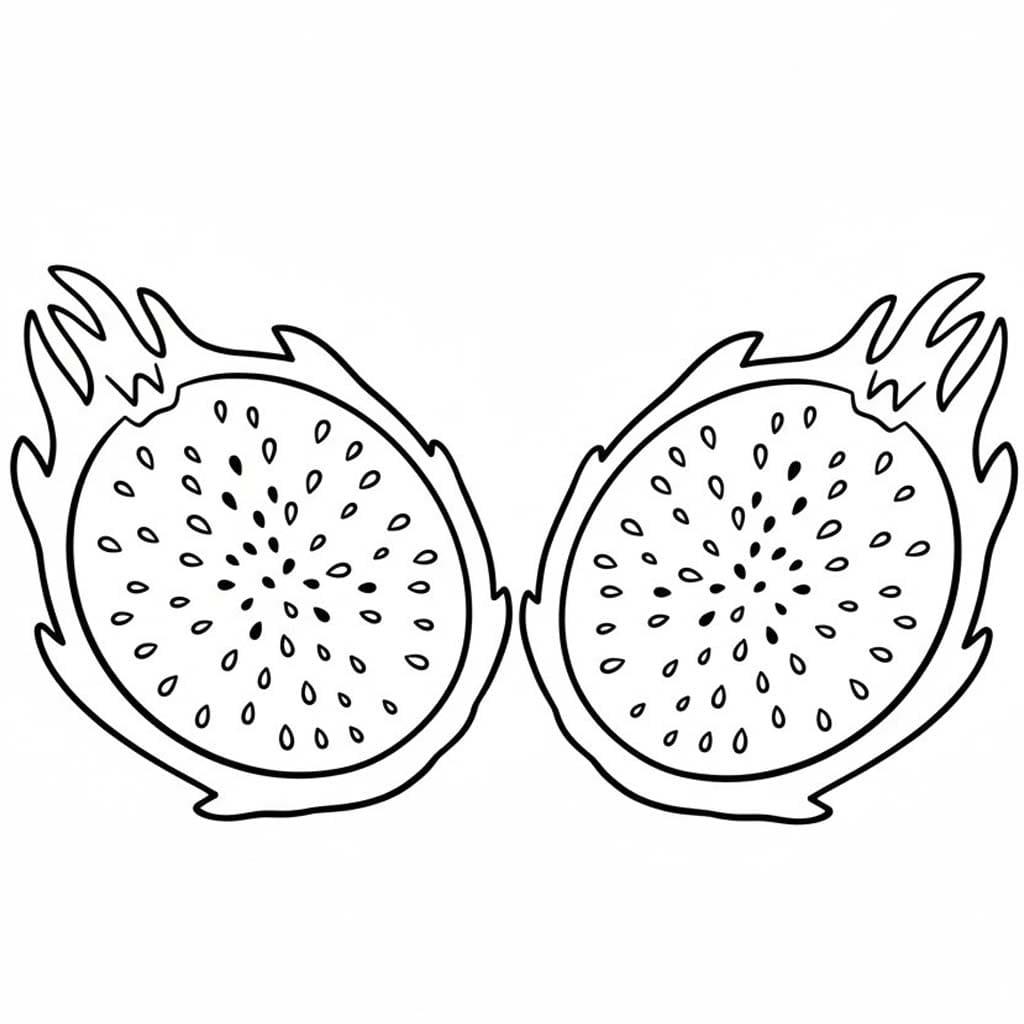 용과 이미지 무료