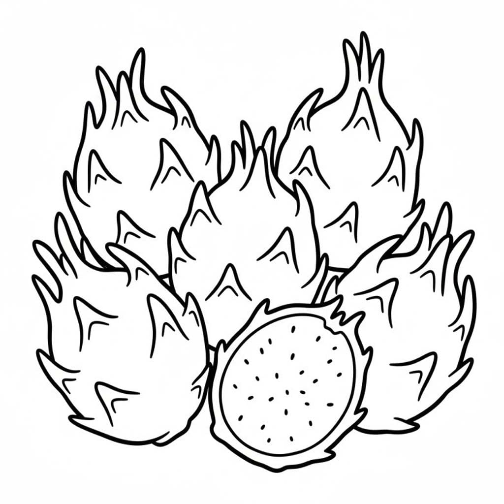 용과 인쇄 가능