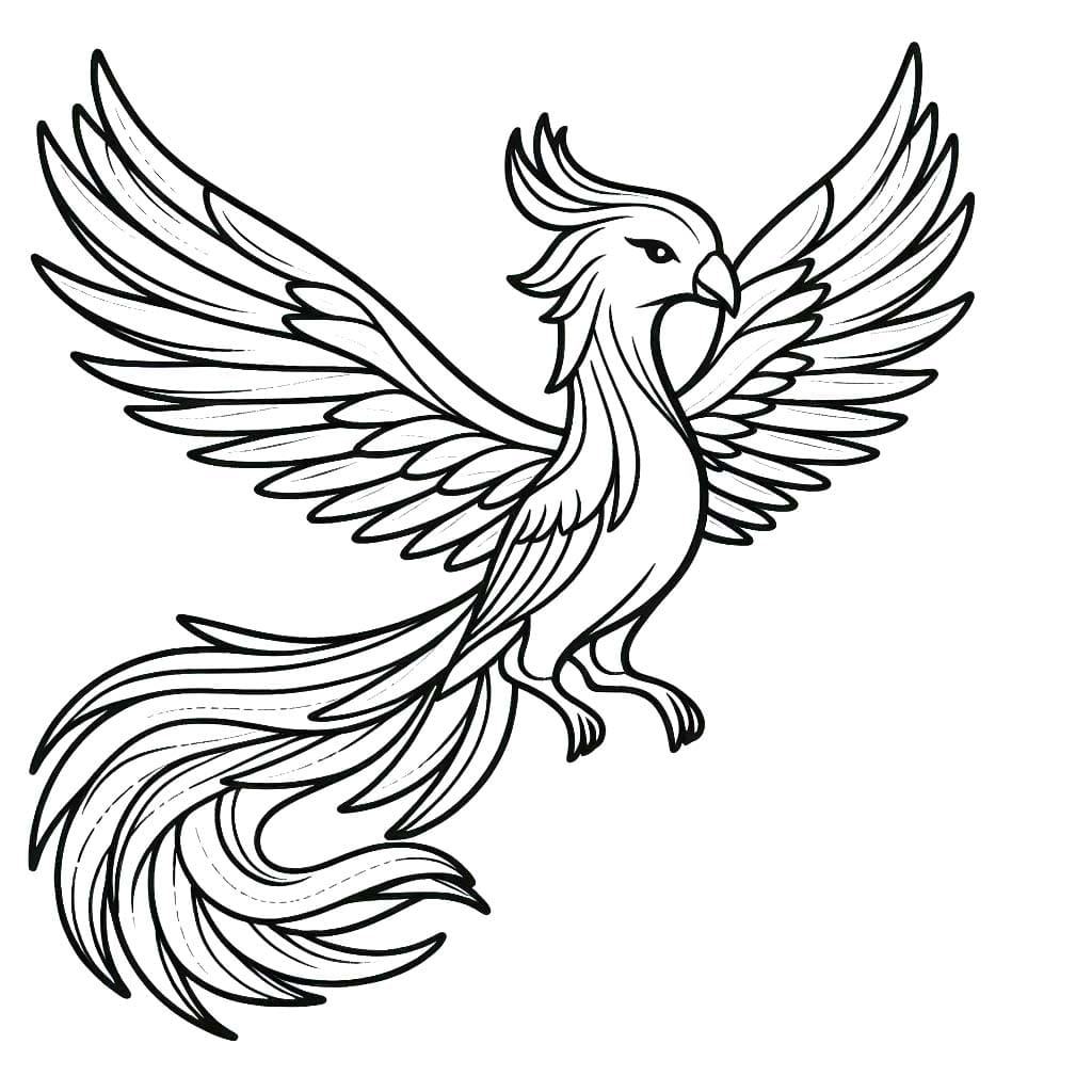 그리다 피닉스 인쇄