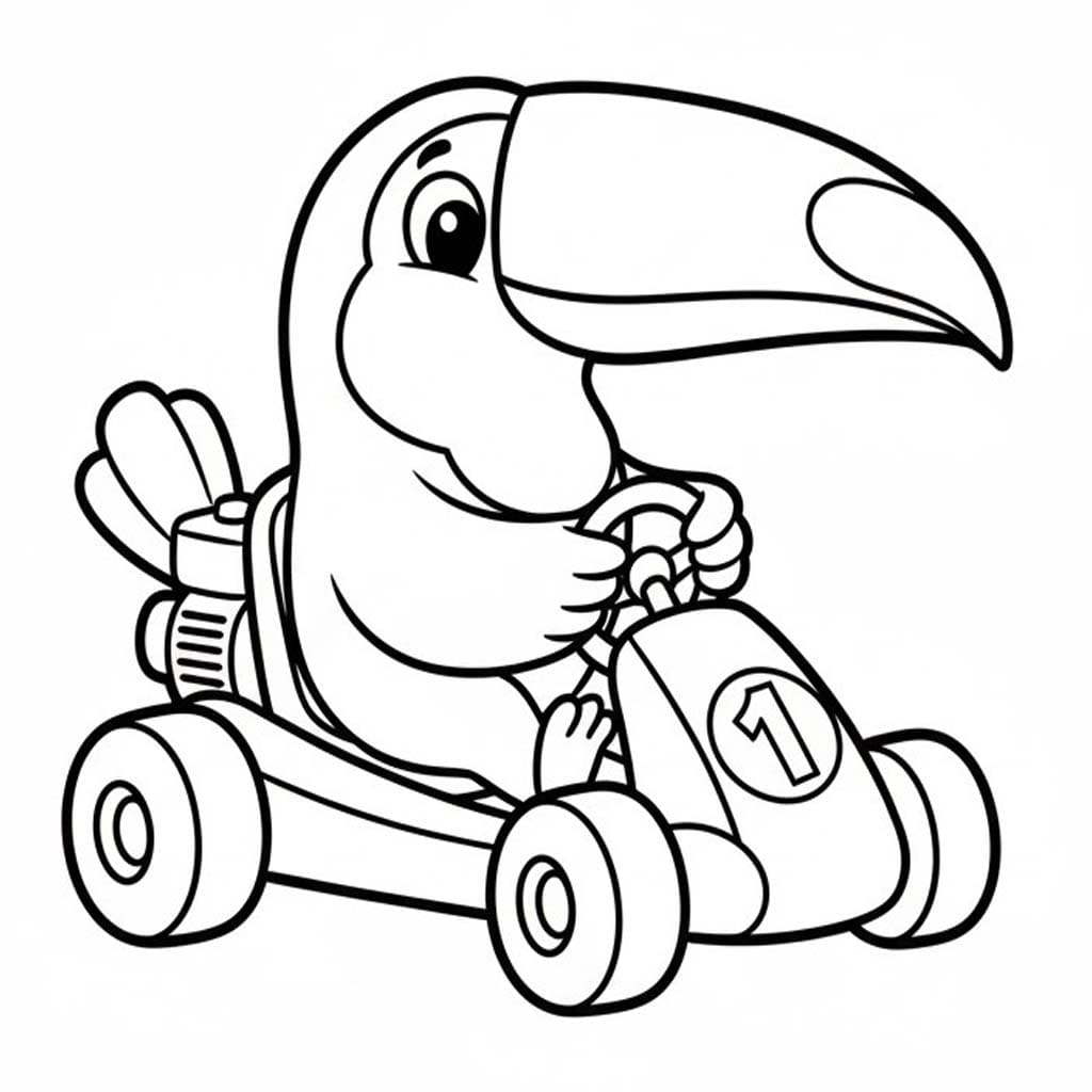 자동차 운전 투칸