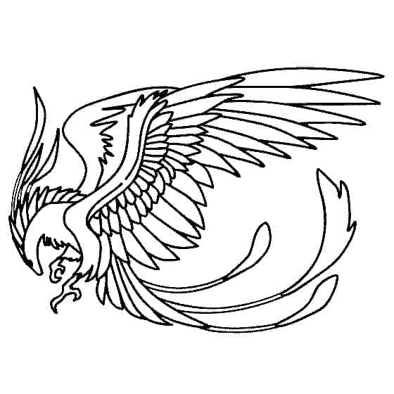 피닉스 이미지 단순한